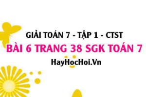 Giải bài 6 trang 38 Toán 7 Tập 1 SGK Chân trời sáng tạo